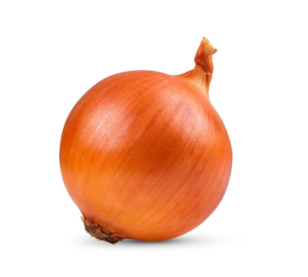 Onion