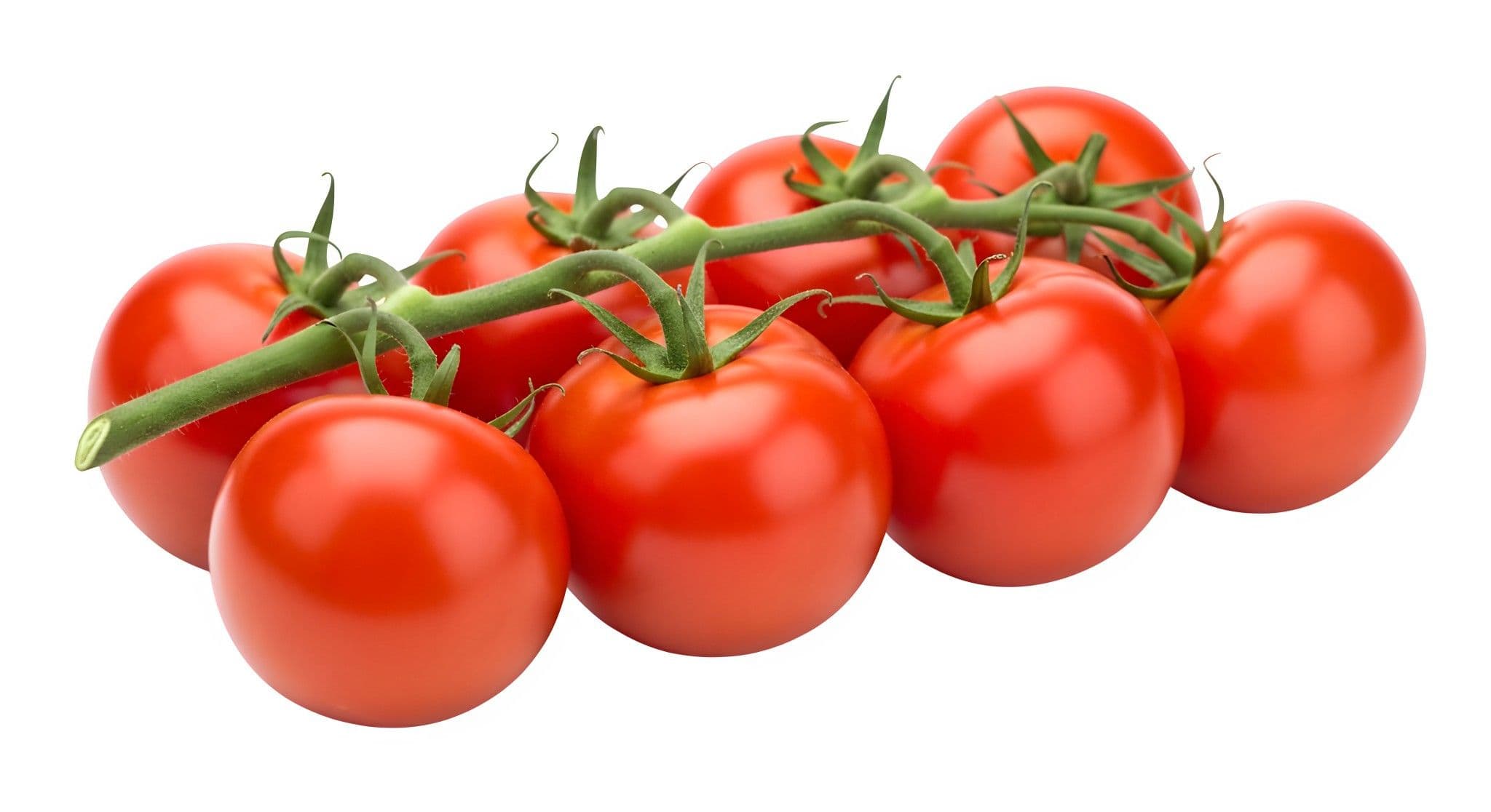 Tomato
